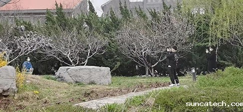 20220405-1-5s.jpg